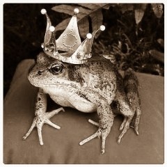 The frog prince 