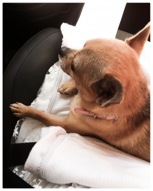 Five years old, same day